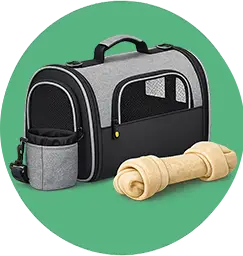 اکسسوری و لوازم گربه